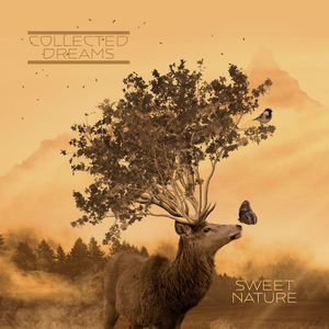 一本久道免费精品高清在线
