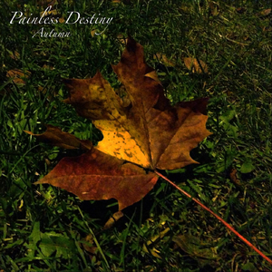 一本久道免费精品高清在线
